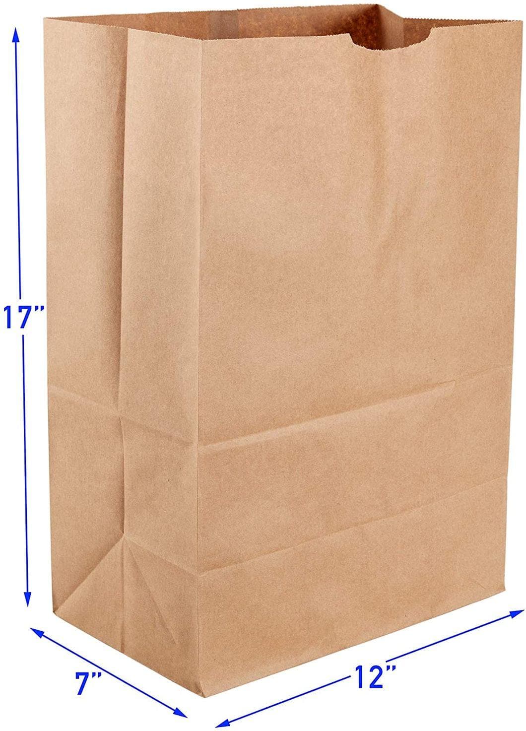 Paper Bag 12x7x17 Big To-Go Bag