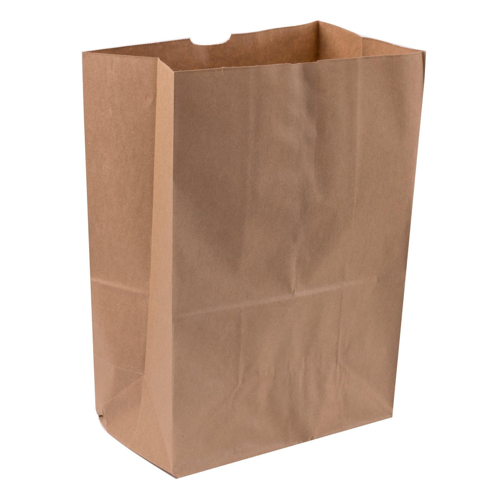 1/6 Barrel Kraft Bag - 250 Units